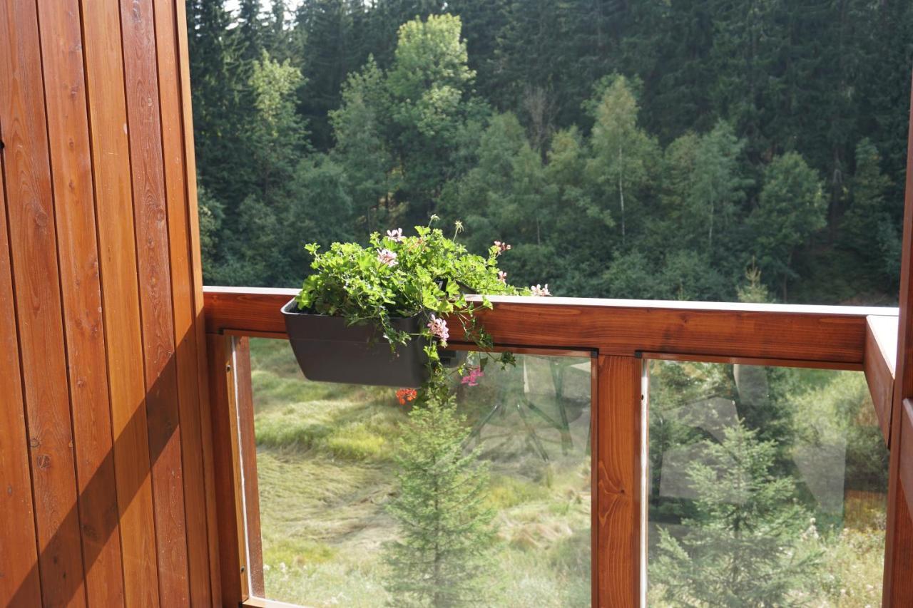 Jezirko Lesni Restaurant & Penzion Jachymov Exterior photo